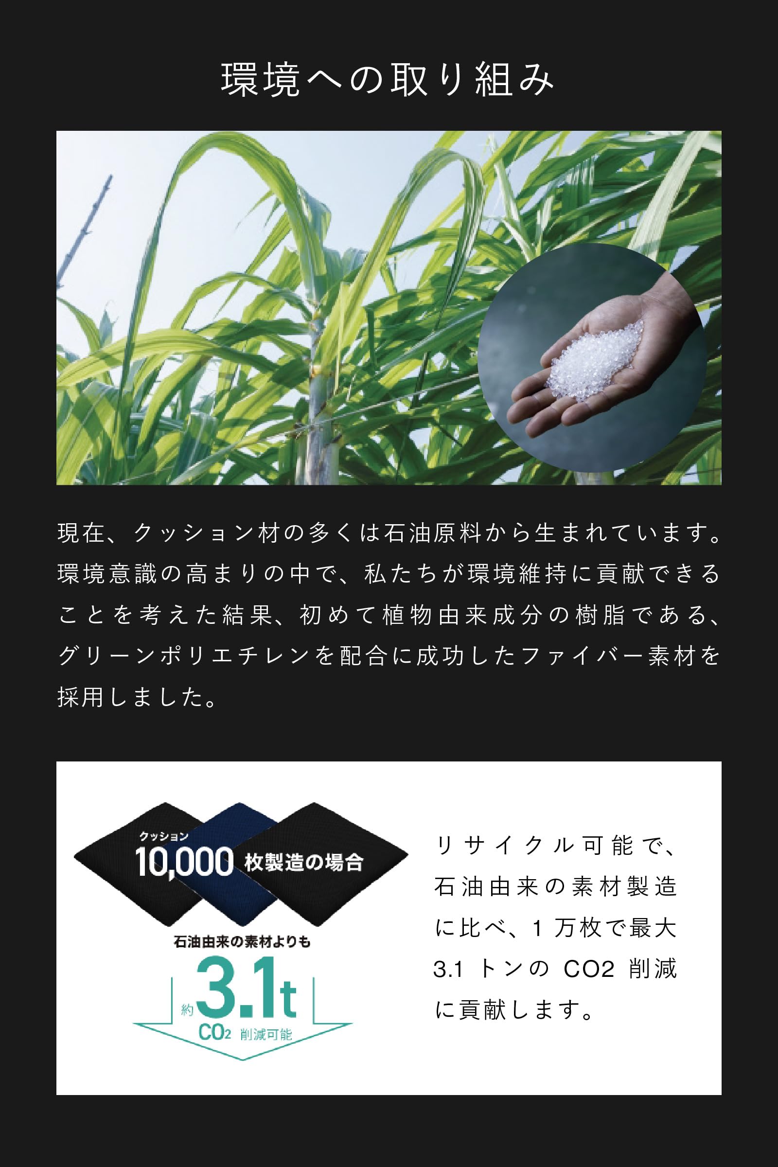 ZABUSHION(プレミアムモデル) | BLACK(Amazon在庫有)