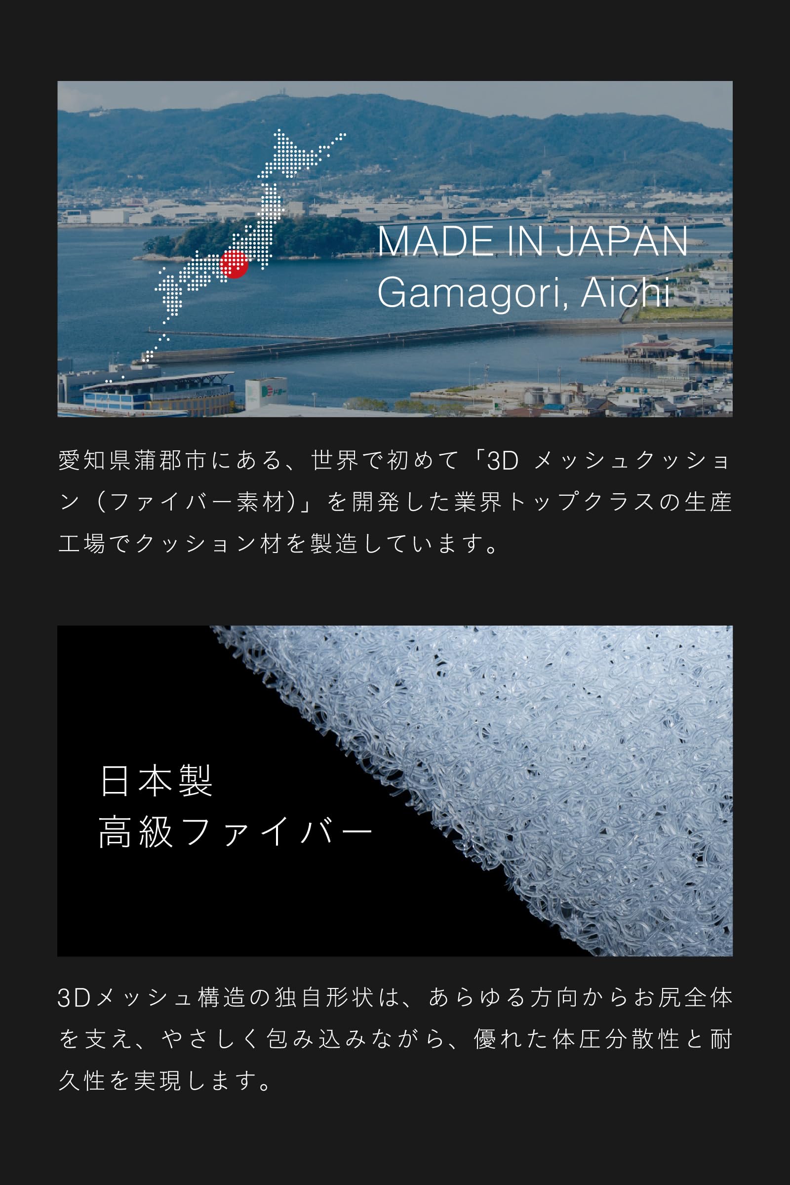 ZABUSHION（定番標準モデル） | BLACK（Official Store Pricing）