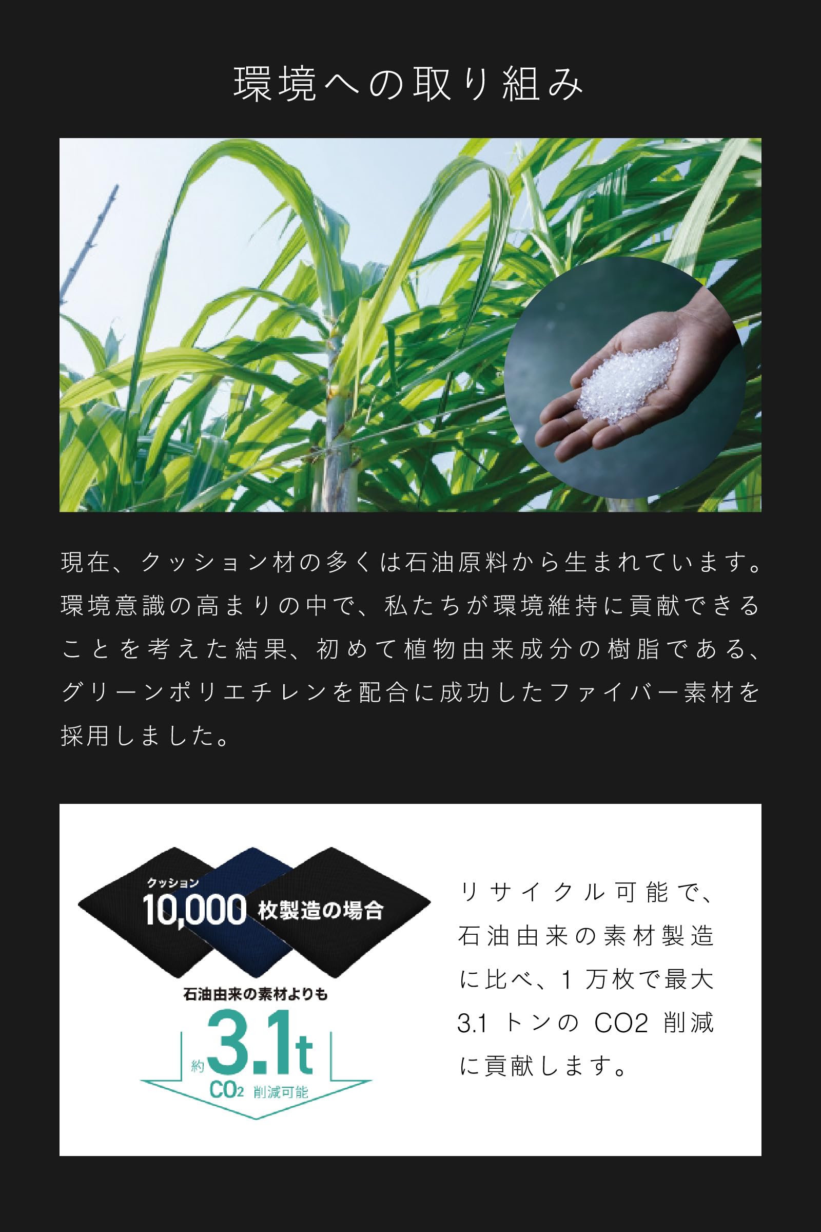 ZABUSHION（定番標準モデル） | BLACK（Official Store Pricing）